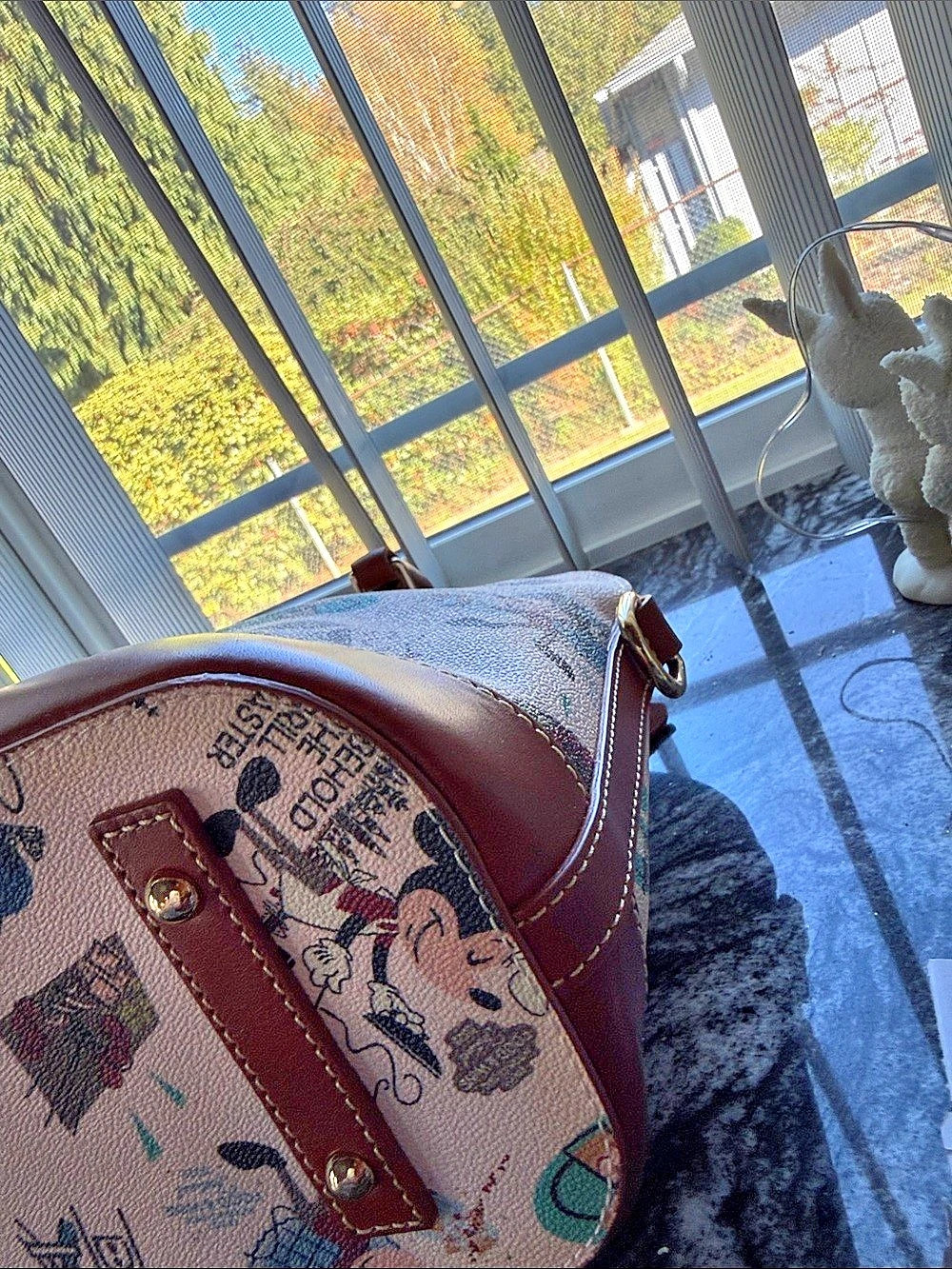 Like New Dooney & Bourke EPCOT International Food & Wine Festival 2022 Satchel - Picture 5 of 9